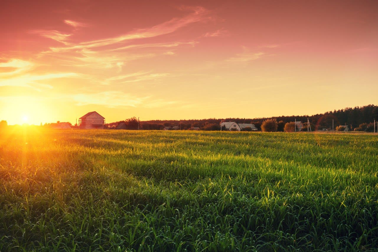 Open field and distant homes at sunset in Davidsonville